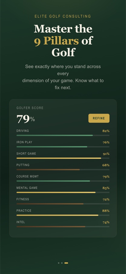 The 9 Pillars screen — your score across every pillar